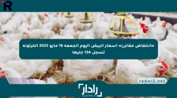 «انخفاض مفاجئ» أسعار البيض اليوم الجمعة 16 مايو 2025 الكرتونة تسجل 134 جنيها